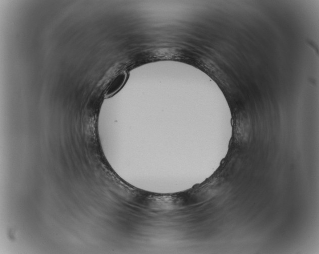 X0000101950473200808081509