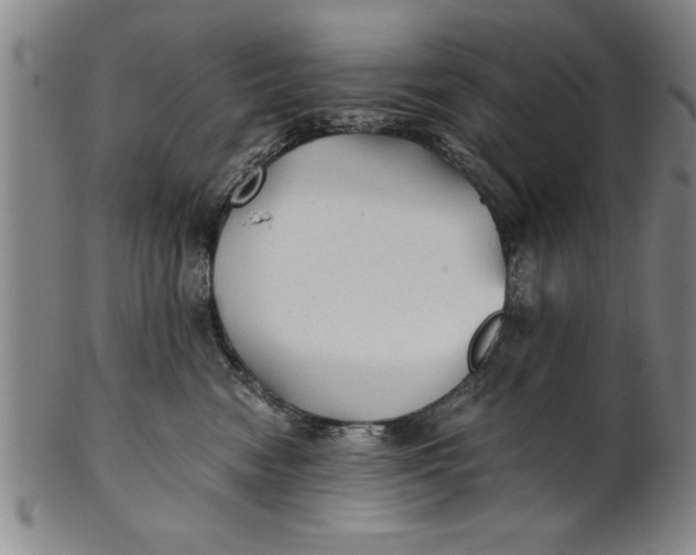X0000101950474200808081509