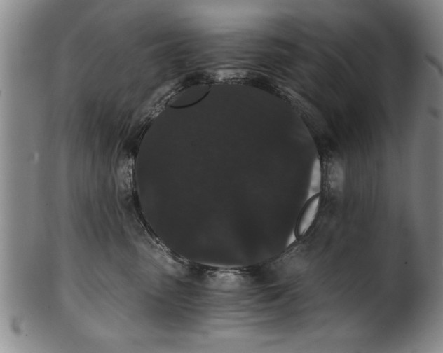 X0000101950475200808081509