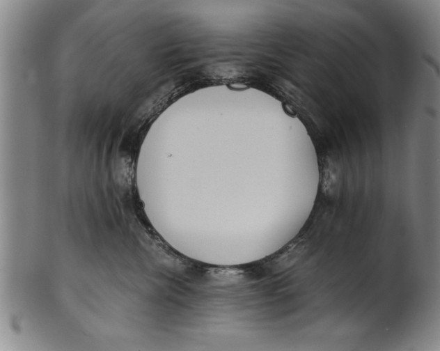 X0000101950476200808081509