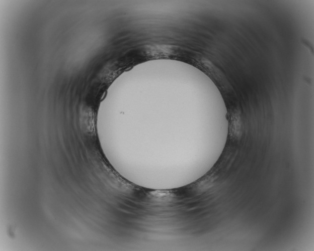 X0000101950477200808081509