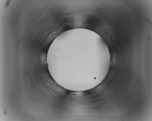 X0000101950478200808081509