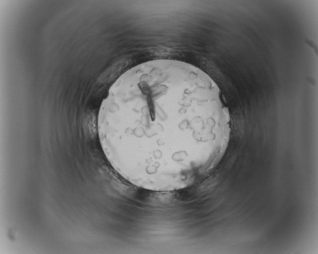 X0000101950479200808081509
