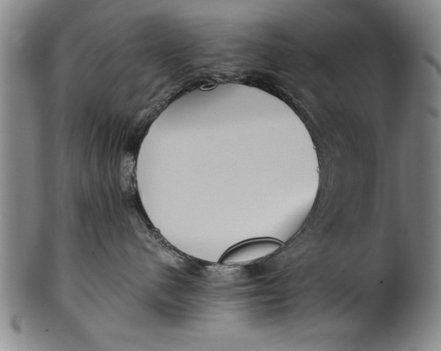 X0000101950480200808081509