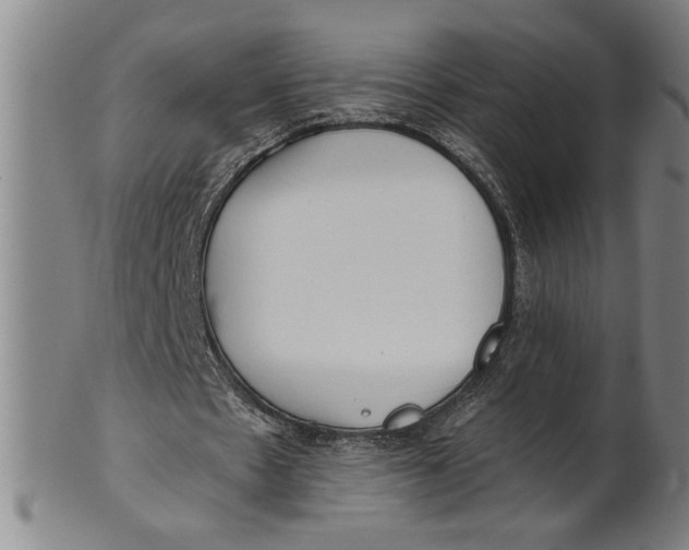 X0000101950481200808081509