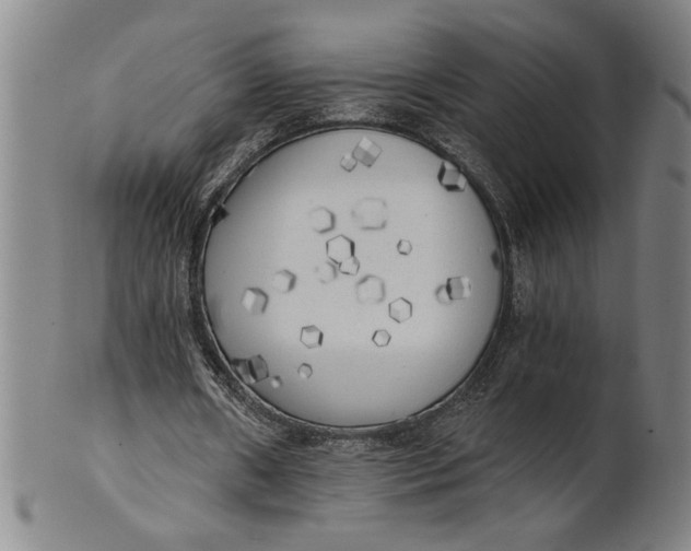 X0000101950482200808081509