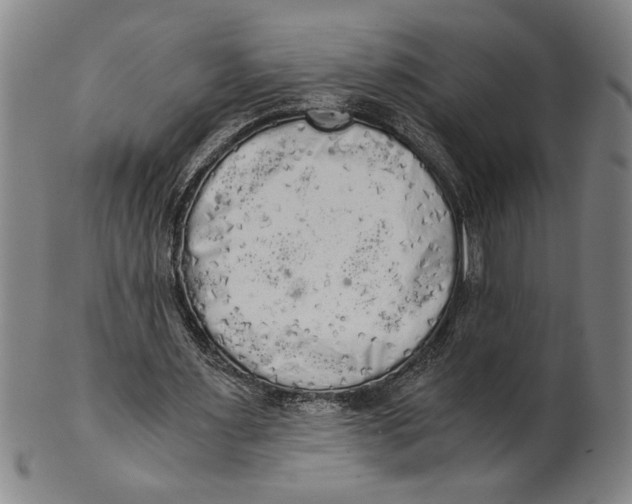 X0000101950483200808081509