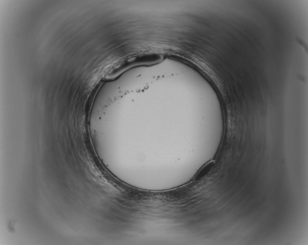 X0000101950485200808081509