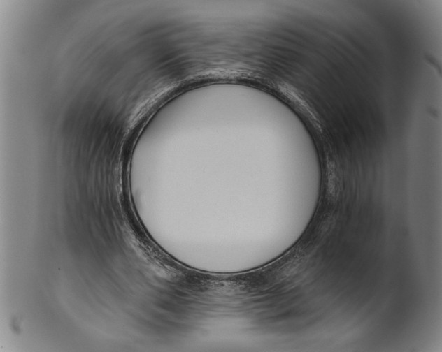 X0000101950486200808081509