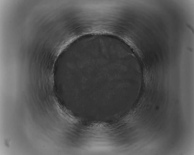 X0000101950488200808081509