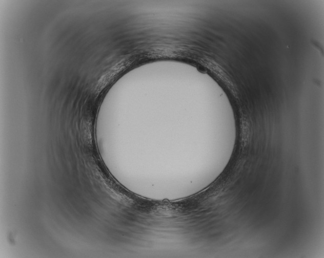 X0000101950489200808081509
