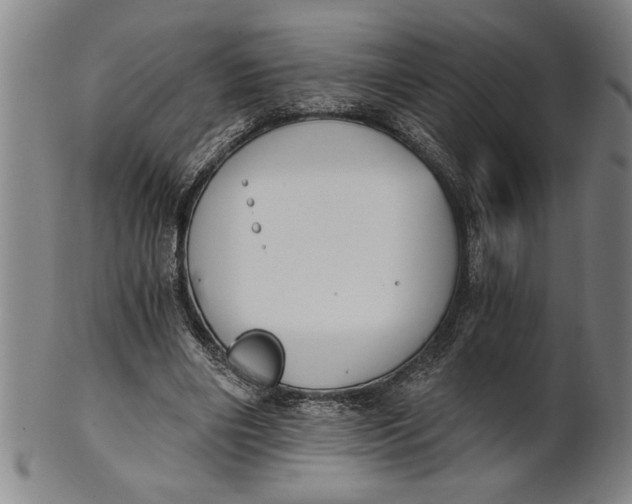 X0000101950490200808081509