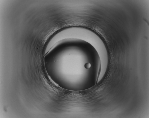 X0000101950491200808081509
