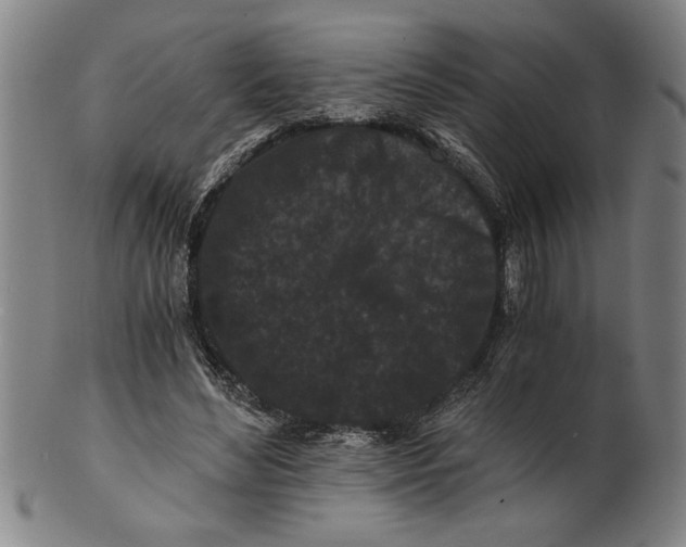 X0000101950492200808081509