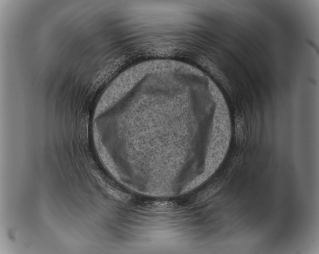X0000101950493200808081509