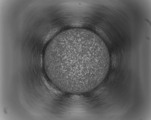 X0000101950494200808081509