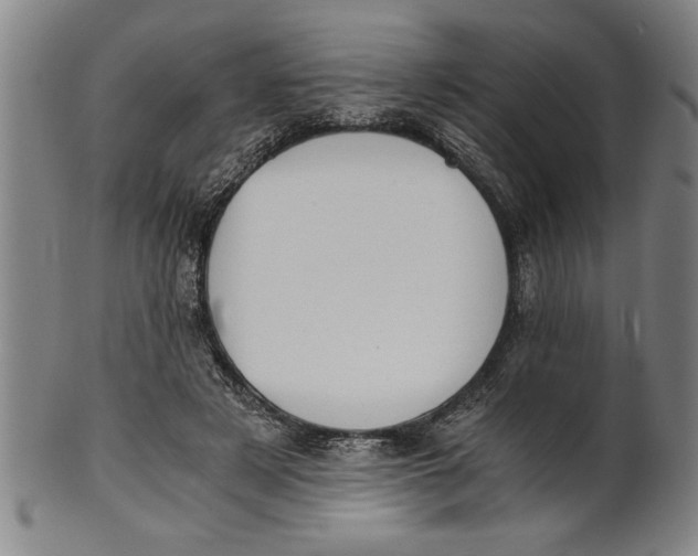 X0000101950497200808081509