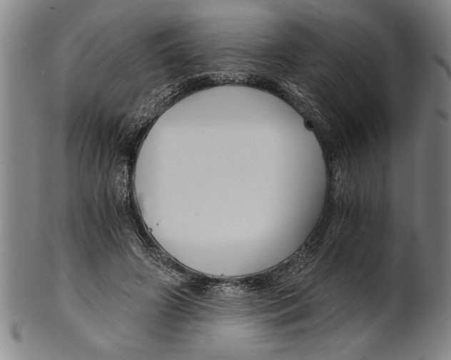 X0000101950498200808081509