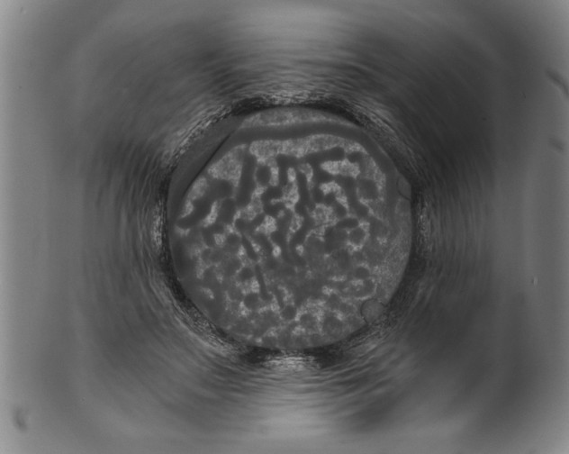 X0000101950499200808081509