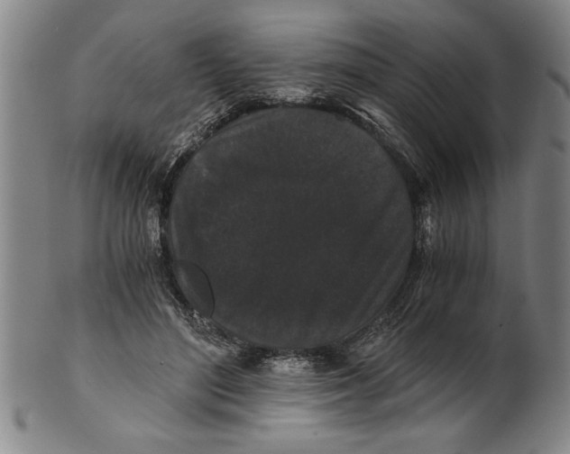 X0000101950500200808081509