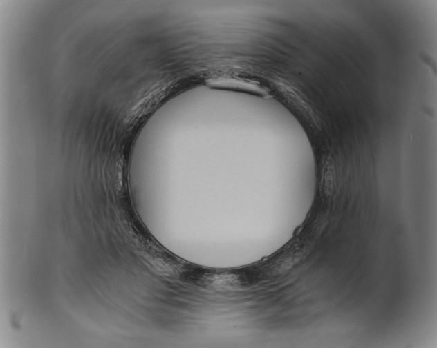 X0000101950501200808081508