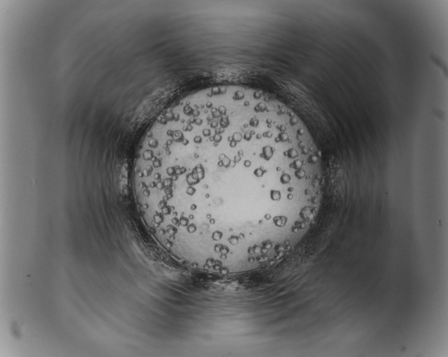 X0000101950502200808081508