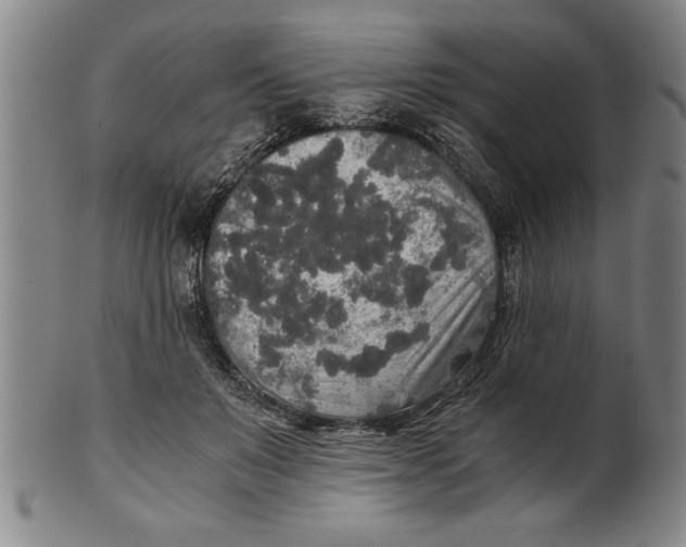X0000101950503200808081508