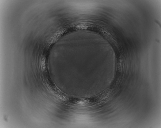X0000101950504200808081508