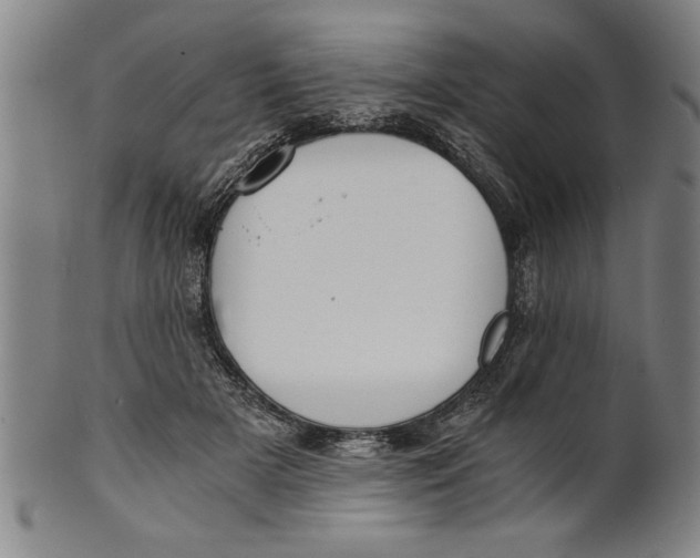 X0000101950505200808081508