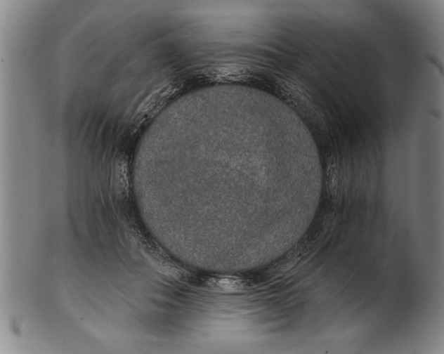 X0000101950506200808081508