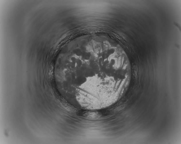 X0000101950507200808081508