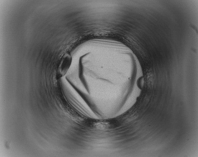 X0000101950508200808081508