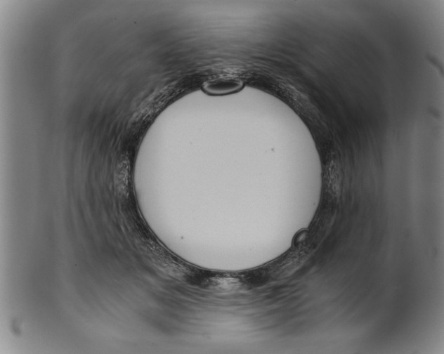 X0000101950509200808081508