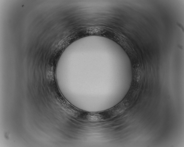X0000101950510200808081508