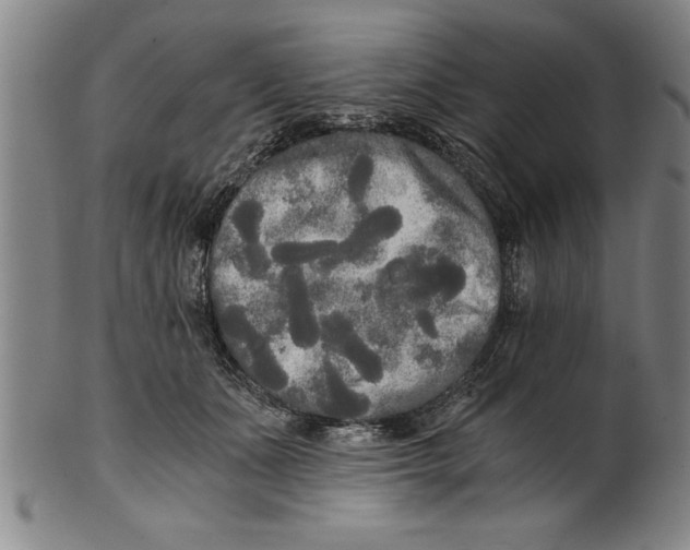 X0000101950511200808081508