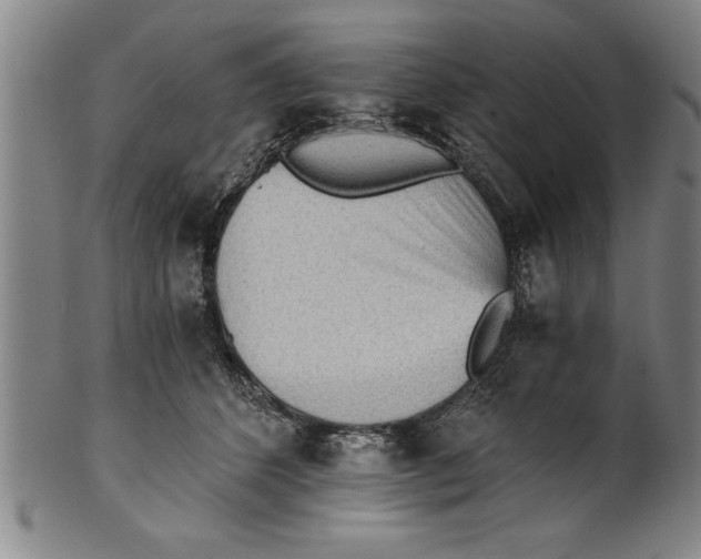 X0000101950512200808081508
