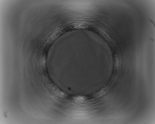 X0000101950513200808081508