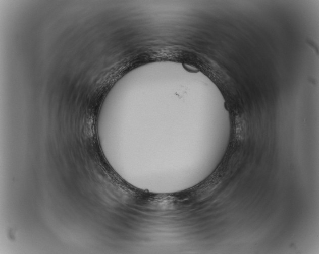 X0000101950514200808081508