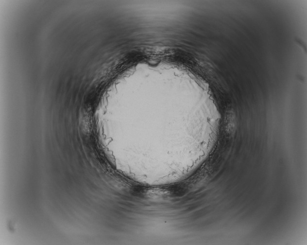 X0000101950515200808081508