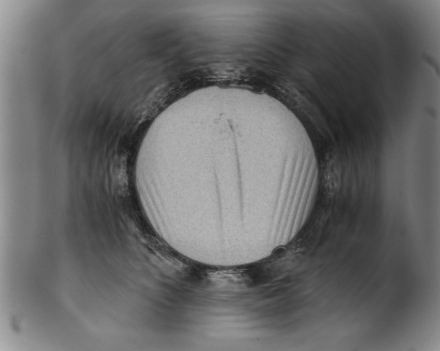 X0000101950516200808081508