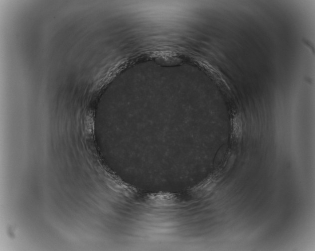 X0000101950517200808081508