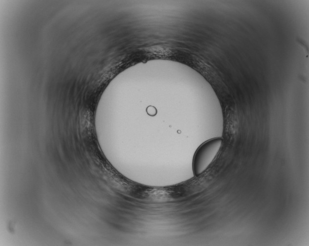 X0000101950518200808081508
