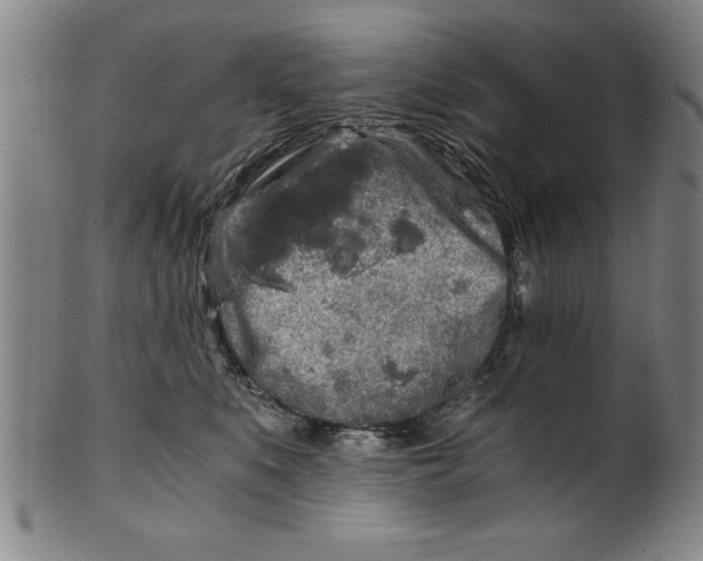 X0000101950519200808081508