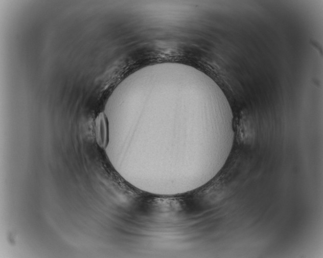 X0000101950520200808081508