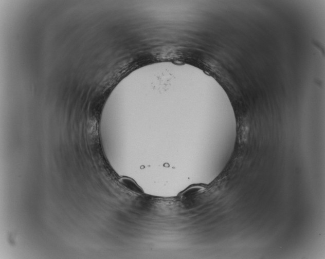 X0000101950521200808081508
