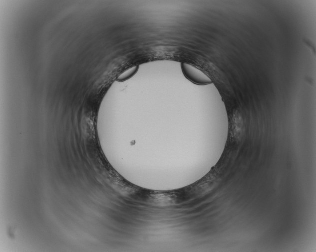 X0000101950522200808081508