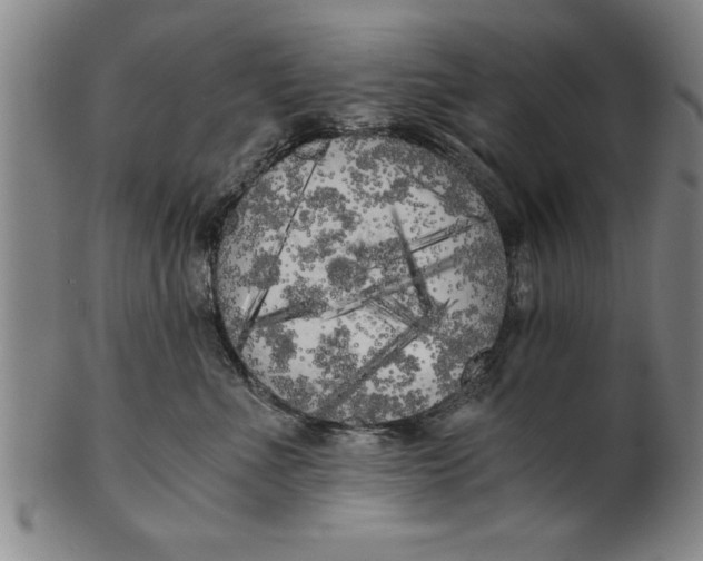 X0000101950523200808081508