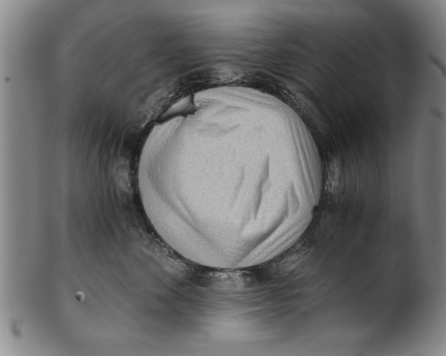 X0000101950524200808081508