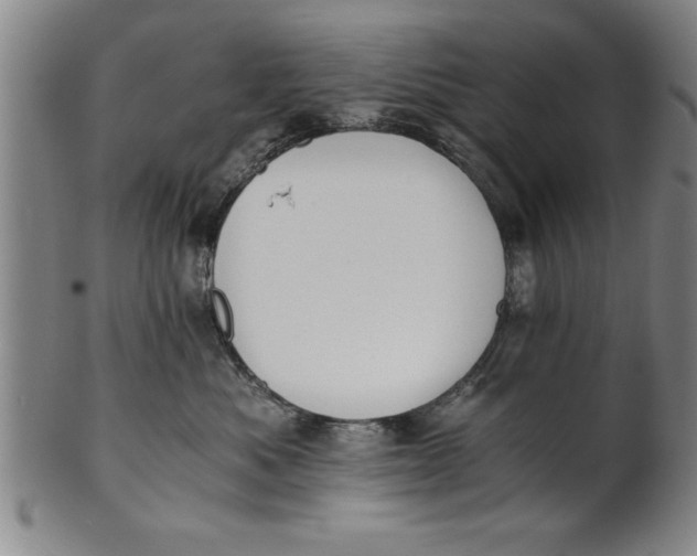 X0000101950525200808081508