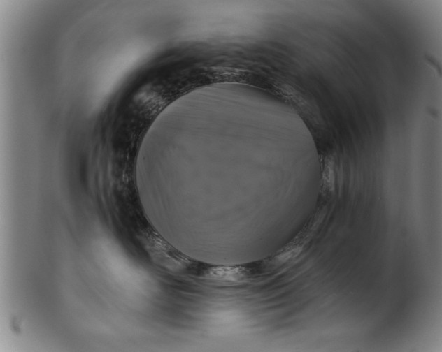 X0000101950526200808081508